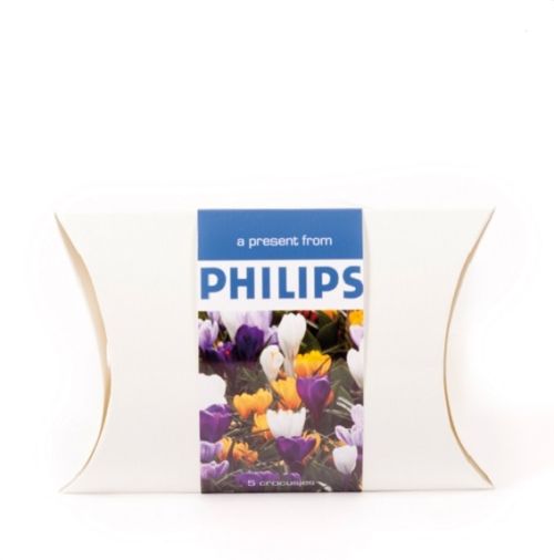 Fixbox mit Blumenzwiebeln - Bild 2